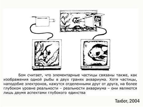 antropn 10 aquarium