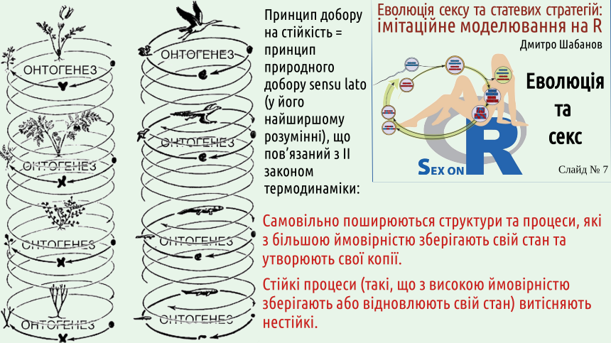 SexOnR Evolution%26Sex 07