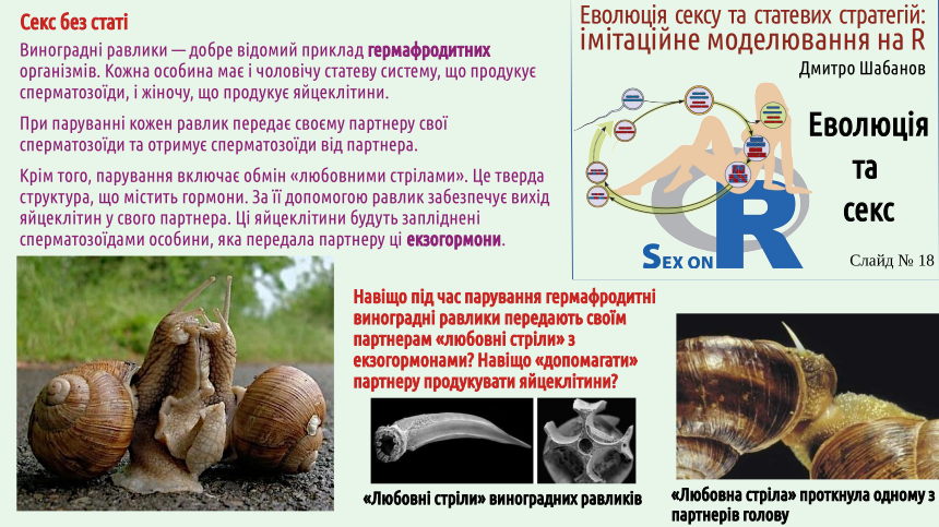SexOnR Evolution%26Sex 18