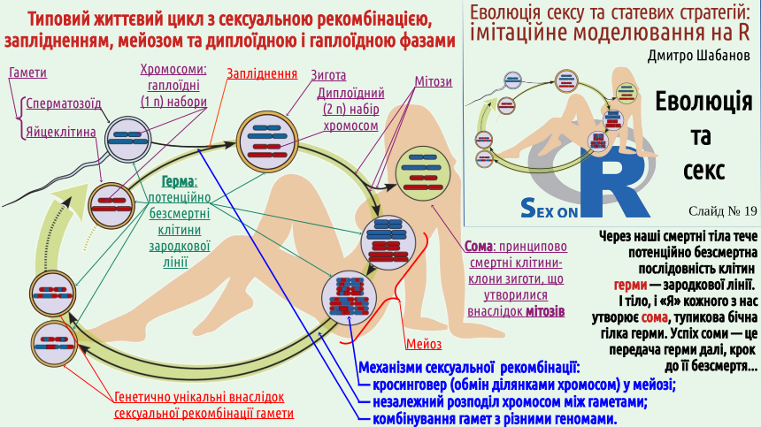 SexOnR Evolution%26Sex 19