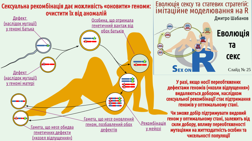SexOnR Evolution%26Sex 25