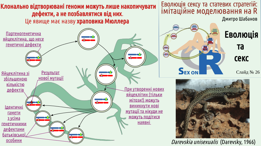 SexOnR Evolution%26Sex 26