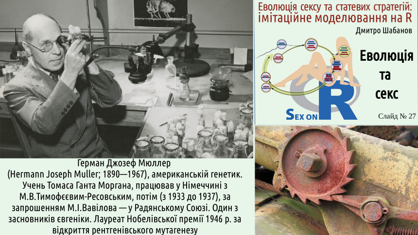 SexOnR Evolution%26Sex 27