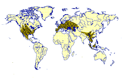 049050053048054053054051052.gif