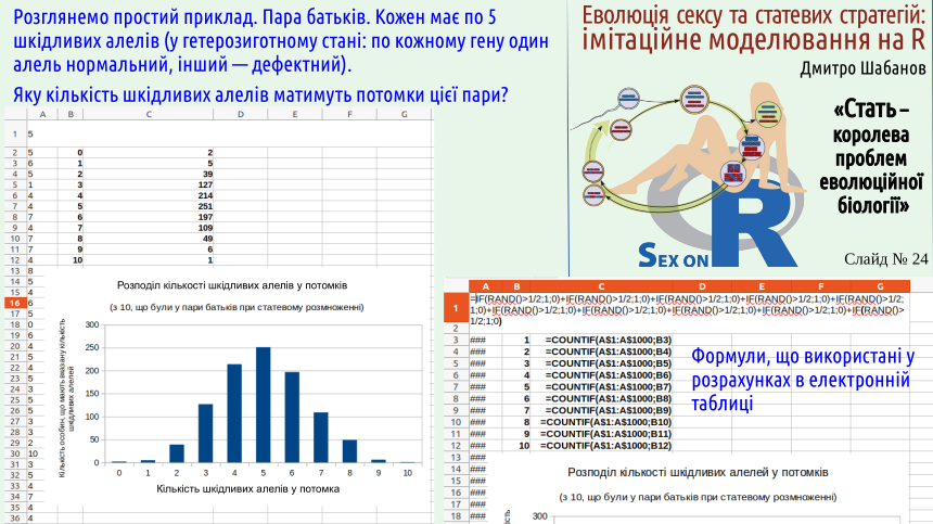 sex 24