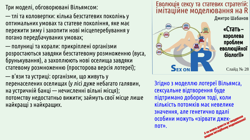 sex 28
