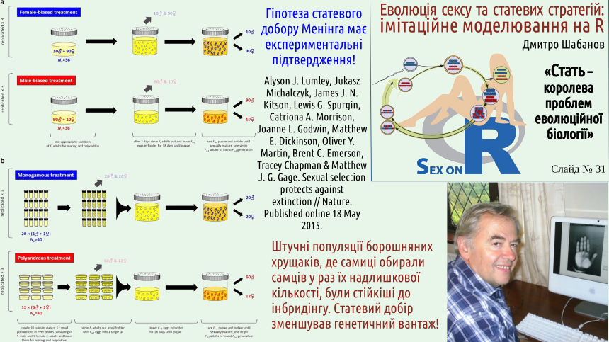 sex 31