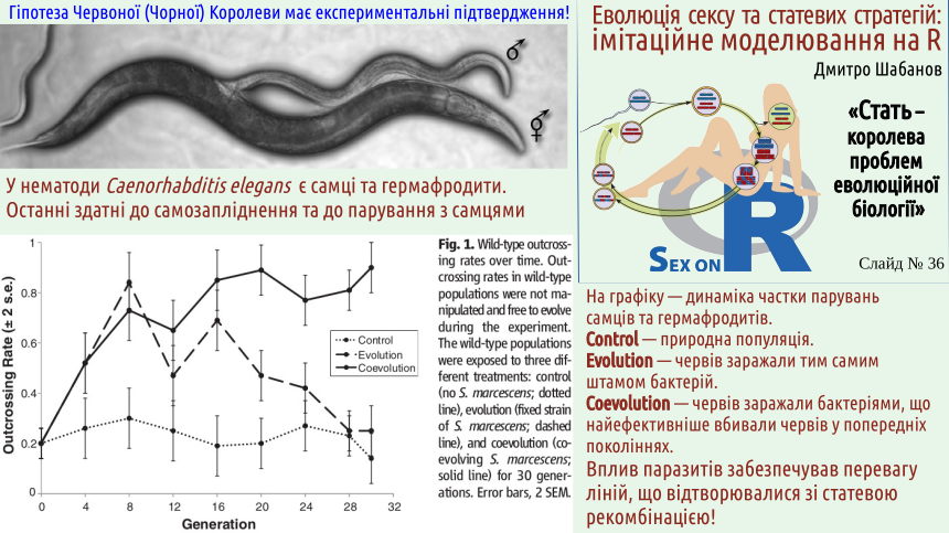 sex 36