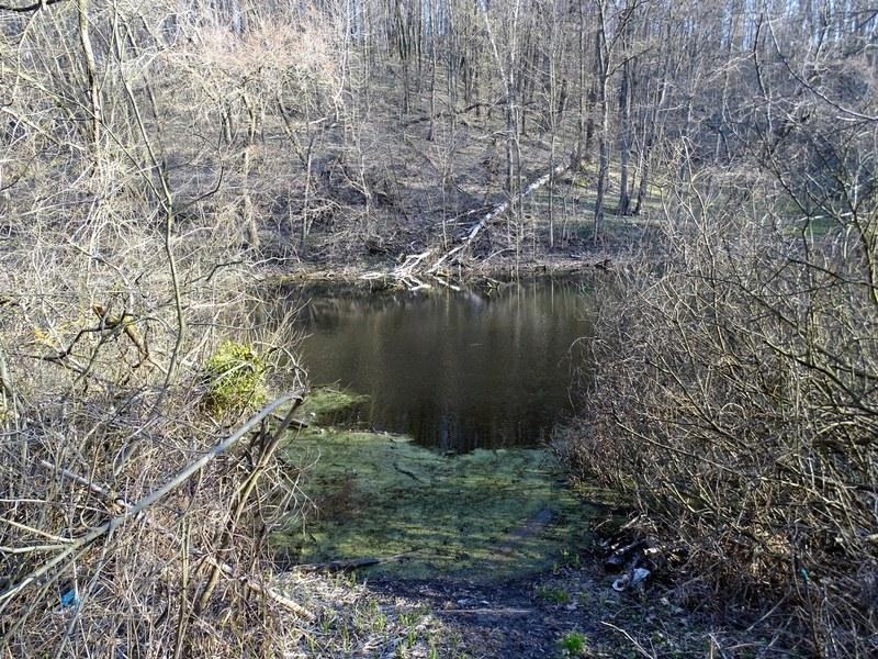 12-13_04_2015_29.jpg