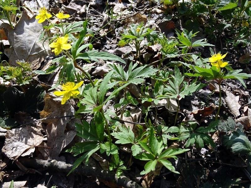 12-13_04_2015_36.jpg