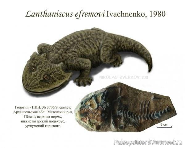 Рис. 7. Реконструкція