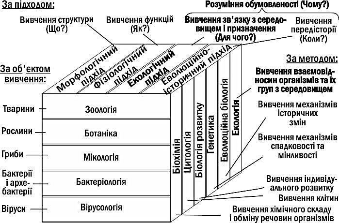 Рис. I-4.2. Різні способи підрозділу біології на галузі З цього погляду стає зрозумілим, що екологічний підхід може бути застосований не тільки для вивчення систем, що традиційно розглядаються в рамках екології (від організму до біосфери), але і бу