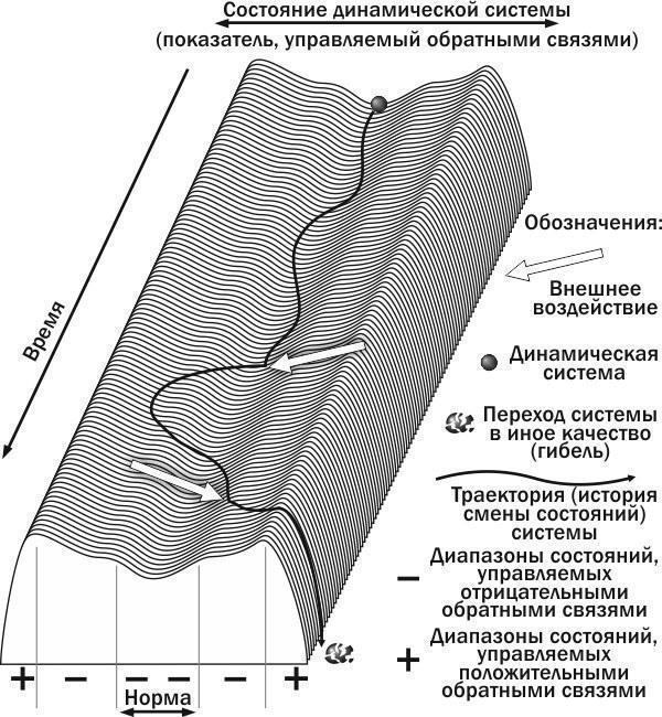 Рис. 1.9.1. Траєкторія системи, керованої зворотними зв’язками. Перше зовнішнє вплив вивів систему з діапазону норми, але більш потужні негативні зв’язки повернули її в діапазон норми. Друге зовнішнє вплив перевело систему в діапазон дії позитивних