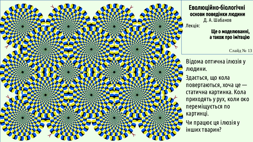 HumNat 05 Model%26Imitation 13