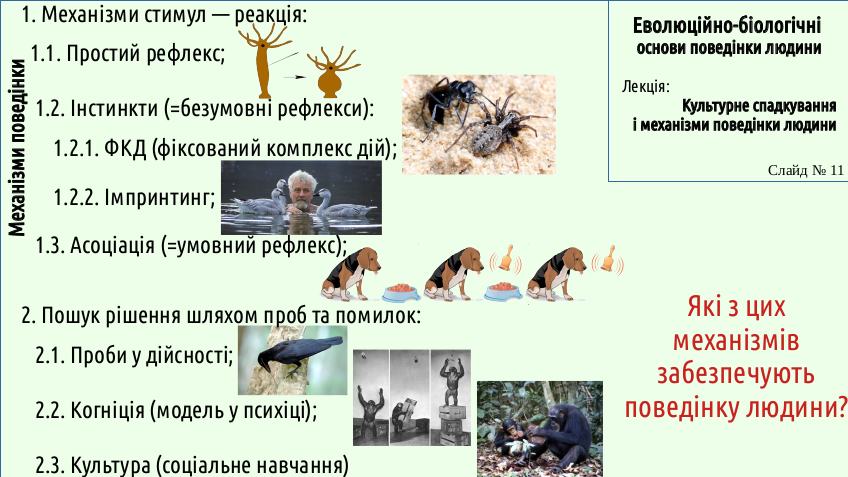 HumNat 6 7 Culture 11