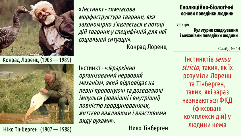 HumNat 6 7 Culture 14