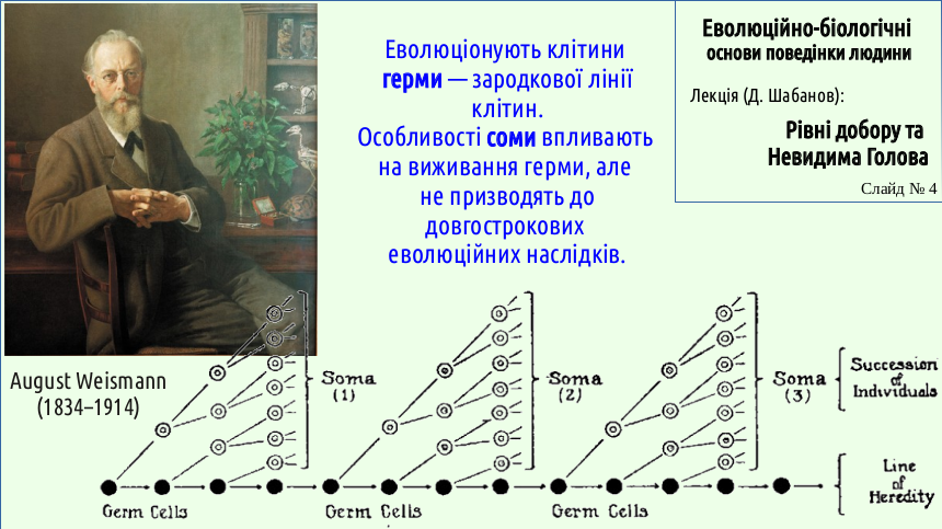 HumNat 8 SelectionLevels 04