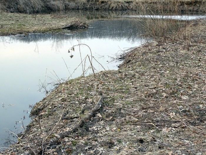 280315_03.jpg