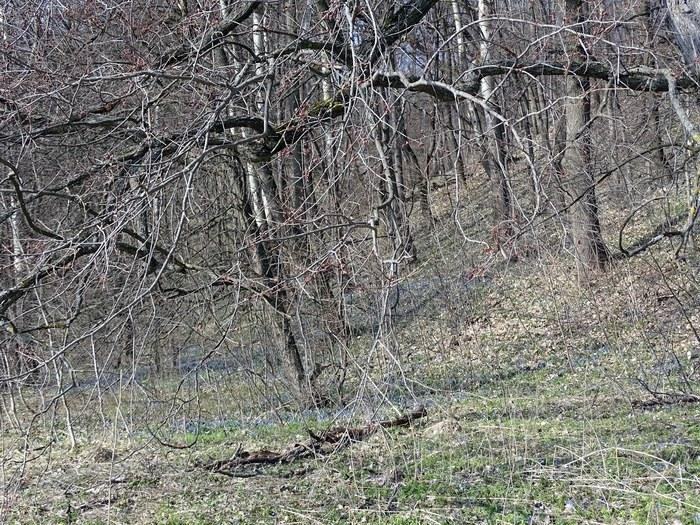 280315_39.jpg