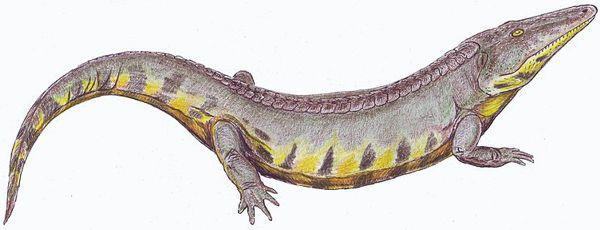 reptiliomorpha bystrowiana