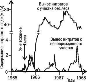 Рис. 2.4.2. Одним із наслідків знищення лісу на американській експериментальній станції в Хаббард‑Брук стало багатократне (понад порядок) збільшення вивезення нітратів з території, на якій була знищена вся рослинність (зверніть увагу на розрив на ш