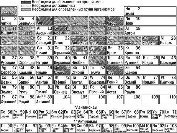 Рис. 2.4.1. Елементи, важливі для живих організмів, у таблиці Д.І. МенделєєваРолі, які виконують біогени, різноманітні. Чотири з них (так звані елементи‑органогени: вуглець, водень, азот і кисень), складають структурну основу органічних молекул. У
