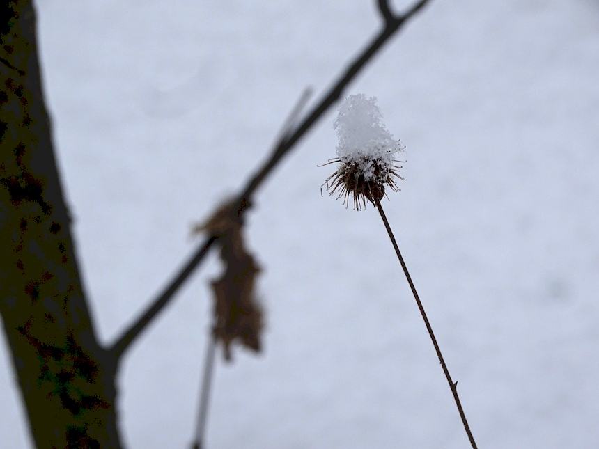 2_2_2022_55.JPG