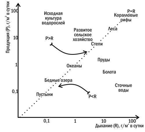 Рис. 3.8.1. Ординація (розташування) різних типів екосистем на площині «продукція — дихання»Якщо в якійсь спільноті продукція перевищує дихання (наприклад, у вихідній культурі водоростей — розчині мінеральних солей, у який заселені фотопланктонні о