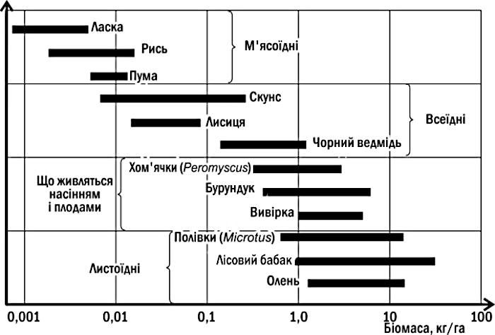 Рис. III-13.4. Біомаса кількох видів ссавців північноамериканського листопадного лісу Як ви зрозуміли, екологічні піраміди не можуть бути дуже високими, тому що при переході з рівня на рівень частину енергії втрачається. Однак різні організми втрачают