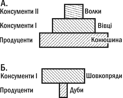 Рис. III-13.1. Піраміди чисельностей. А. Пряма. Б. Перевернута. Перевернутий характер другої піраміди пов'язаний з відмінностями особин за розмірами Неважко зрозуміти, що перевернутість другої піраміди пов'язана з відмінностями особин продуцентів і ко