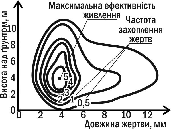 Рис. IV-12.1. Двовимірна екологічна ніша синьо-зеленого мошколову; показано частоту захоплення комах різного розміру на різній висоті від землі «Екологічна ніша певного організму залежить не тільки від того, де він живе, але і від того, що він робить