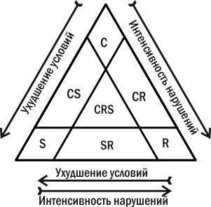 Рис. 4.15.3. «Трикутник Грейма» — класифікація видових стратегій— Тип C (competitor, конкурент), віолент за Раменським; витрачає більшу частину енергії на підтримання життя дорослих організмів, домінує в стійких угрупованнях. Серед рослин до цього т