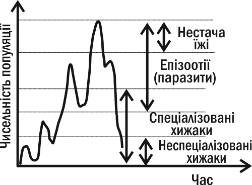 Рис. IV-16.4. Діапазони коливань чисельності популяції, в яких діють різні механізми регулювання її чисельності Ми вже сказали, що різкі стрибки можуть призвести до загибелі населення. А як впливають на її взаємодію з конкурентами різні способи регул