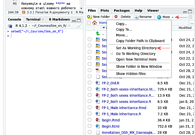 Рис. 3.8.2.1 Після вибору опції Set As Working Directory у консолі RStudio з’явилася відповідна команда При повторних запусках того самого скрипту, або подібних один до одного скриптів з’являється певна небезпека. У робочому просторі програми, в En