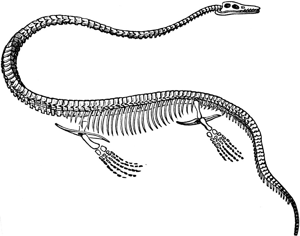 elasmosaurus lg
