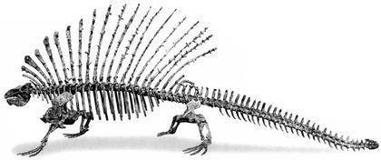 theromorpha edafozavr