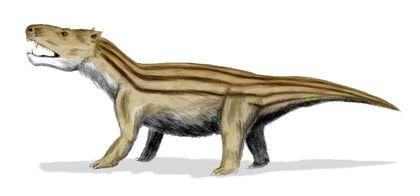 theromorpha cynognathus