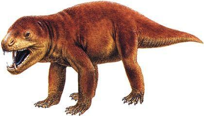 theromorpha cinodont