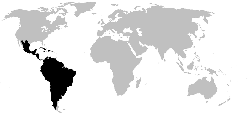 px leptodactylidae distribution areal leptodaktilide