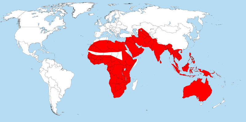 px worldwidevaranus