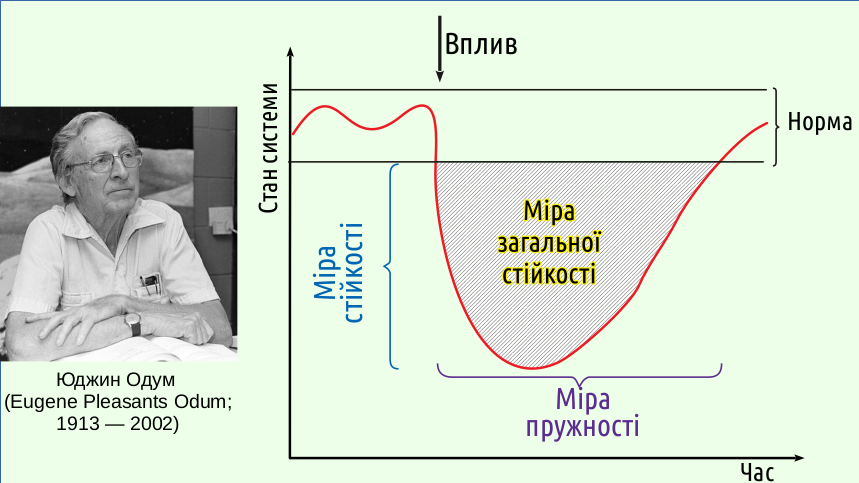 Eco III Sustainbility Complexity 03