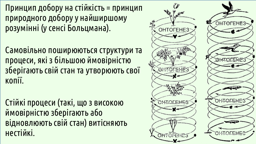 Eco III Sustainbility Complexity 09