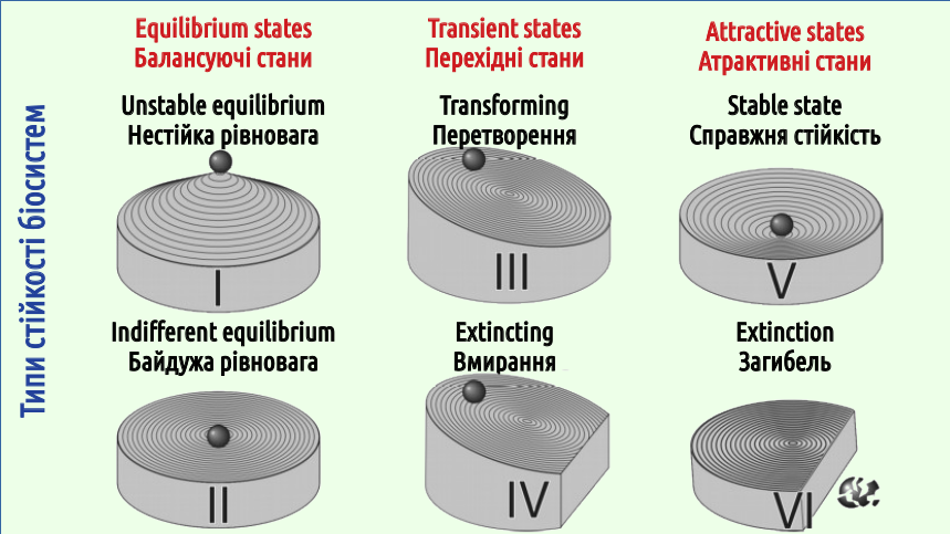 Eco III Sustainbility Complexity 12