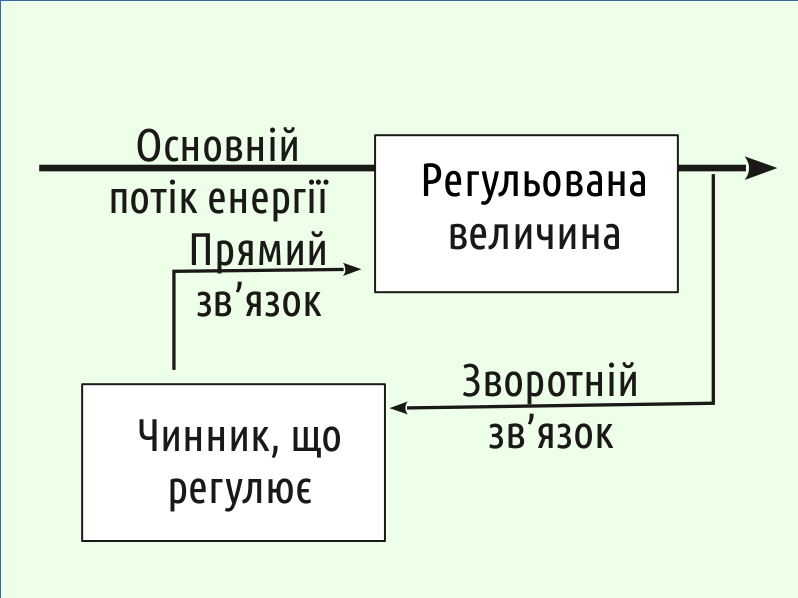 Eco II Biosystems%26Regulation 12