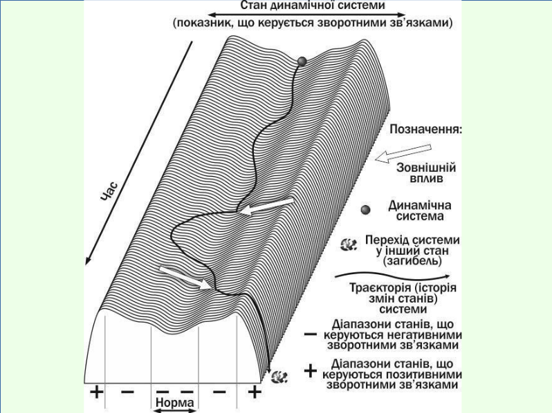 Eco II Biosystems%26Regulation 24
