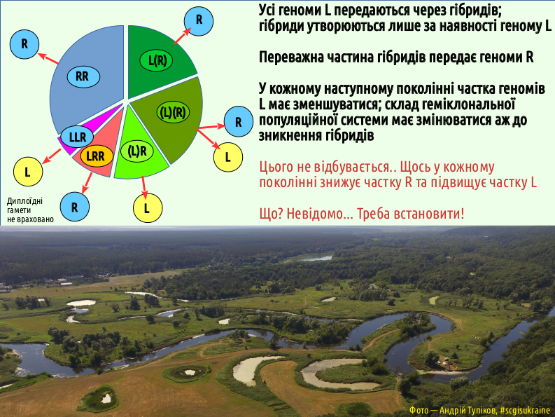 Eco I What is ecology 20