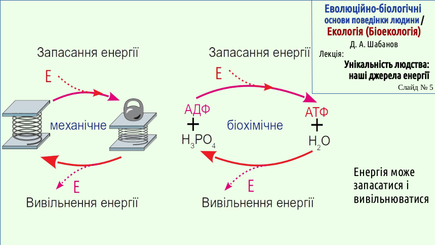 Energy 05