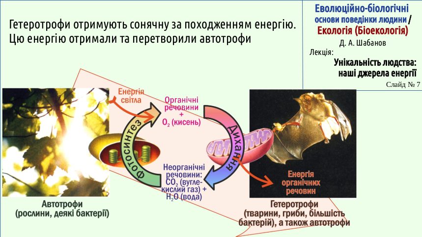 Energy 07