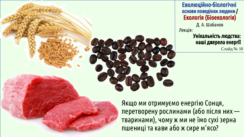 Energy 10