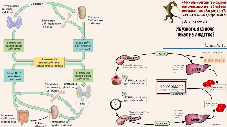ExhOrProsp 01 15